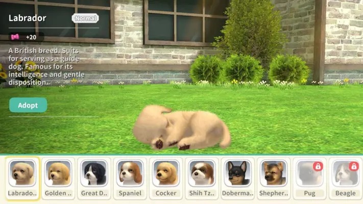 My Dog android App screenshot 9